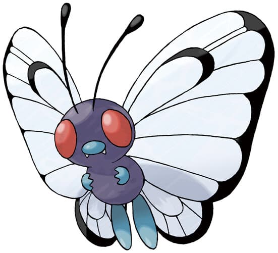 metapod