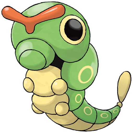 metapod
