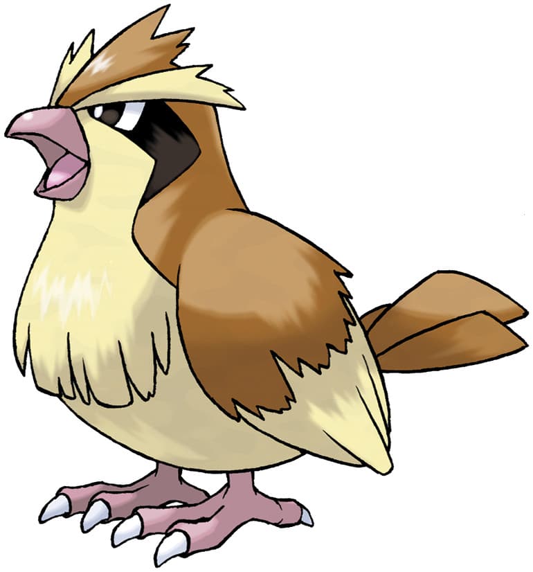 pidgeotto